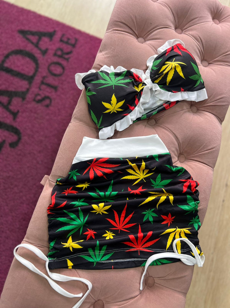 CONJUNTO ERVA