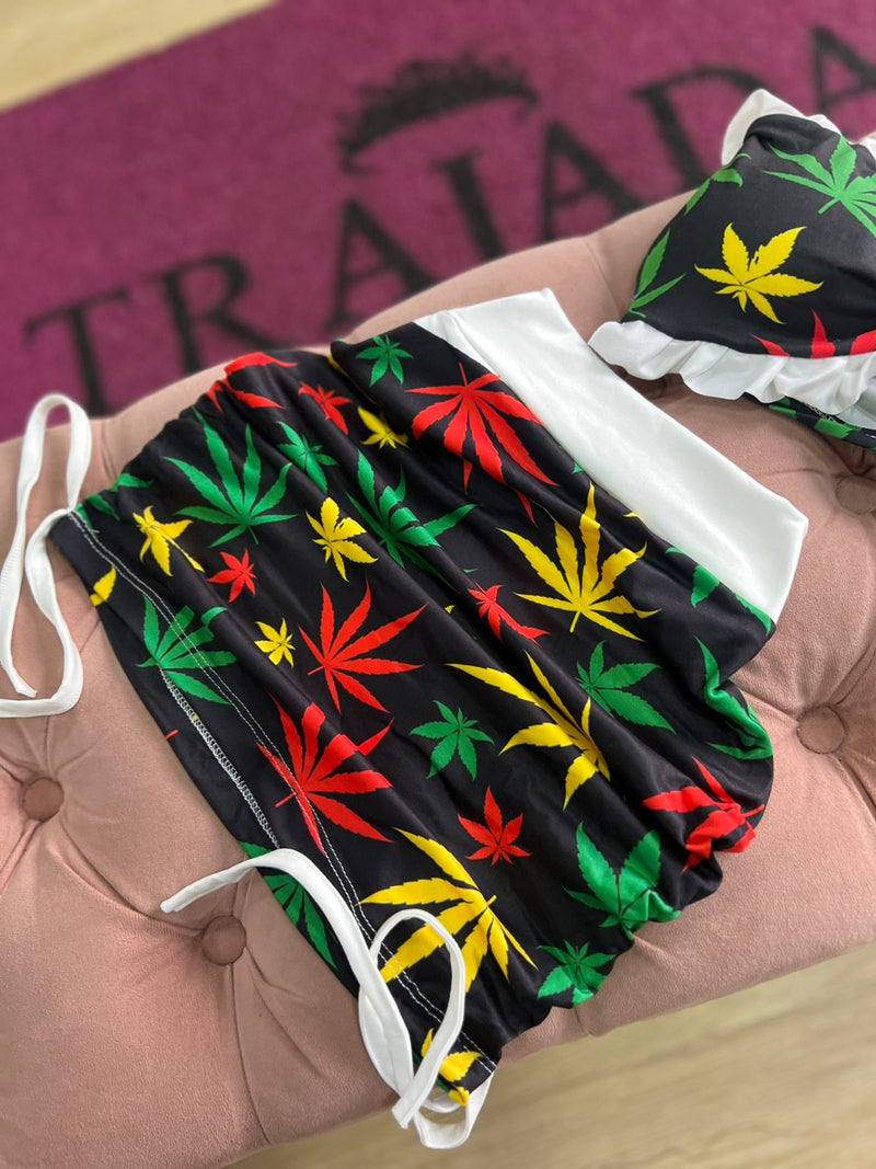 CONJUNTO ERVA